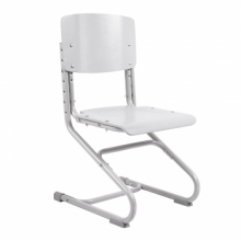 Растущий стул Anatomica Ergo Chair Растущий стул Anatomica Ergo Chair