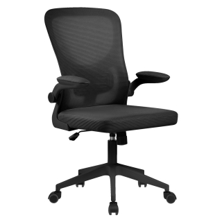 Компьютерное кресло Ergozen Nova черный/черный